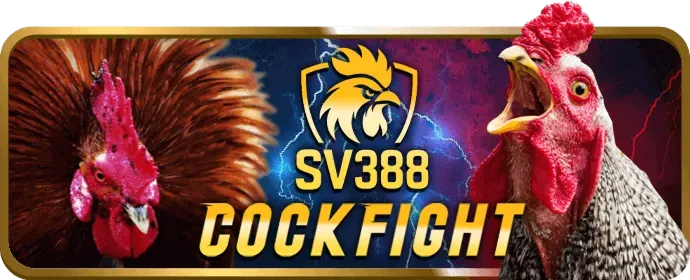 Dragon Tiger tại f8bet365 nhà cái